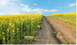 Drohne am Himmel, Roboter am Boden – das neue Zeitalter der Landwirtschaft?