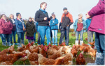 Die Teilnehmer der Fachexkursion erfahren von Caroline Schieber, wie sie Unterrichtseinheiten rund ums Huhn aufbaut.