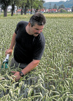 Weniger Fläche für Futtergetreide und stattdessen mehr Anbau von Produkten für den direkten menschlichen Verzehr: Das soll die globale Versorgung längerfristig sichern.