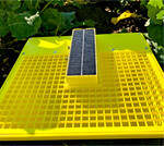 MagicTrap ist eine Gelbschale mit eingebauter Kamera und Mobilfunkmodul.