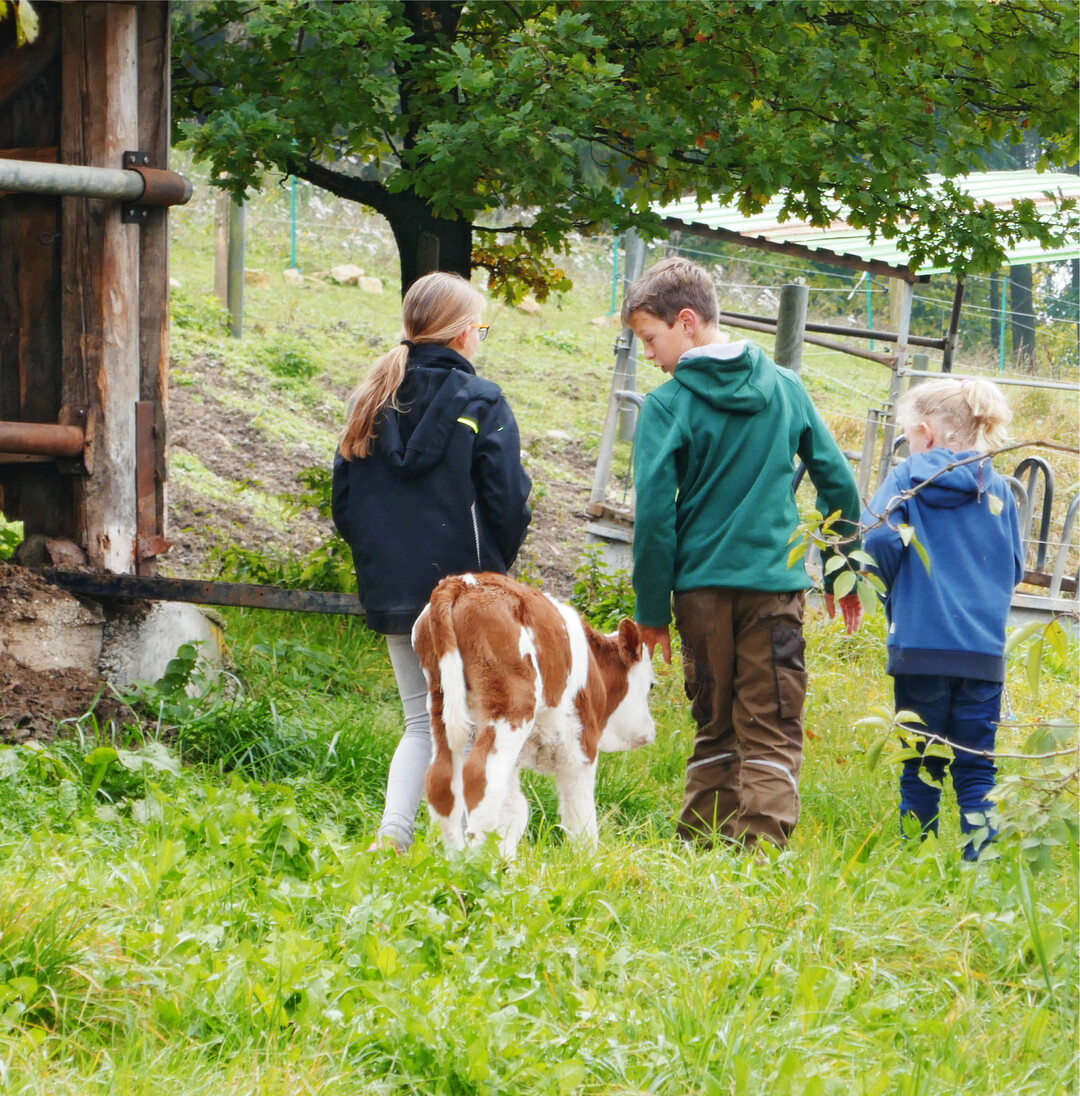 Die Geburt eines Kälbchens durften Marie, Noah und Sophie (von links) auf dem Erlebnisbauernhof von Claudia und Daniel Keppler in Schopfloch-Unteriflingen (Kreis Freudenstadt) miterleben, ein zugleich einmaliges und aufregendes Erlebnis für alle Gäste. Riesig war die Begeisterung und Freude der Kinder auch am nächsten Tag, als sie bei ihrem Spaziergang rund um den Keppler-Hof vom neugeborenen Kälbchen Mockie begleitet wurden.