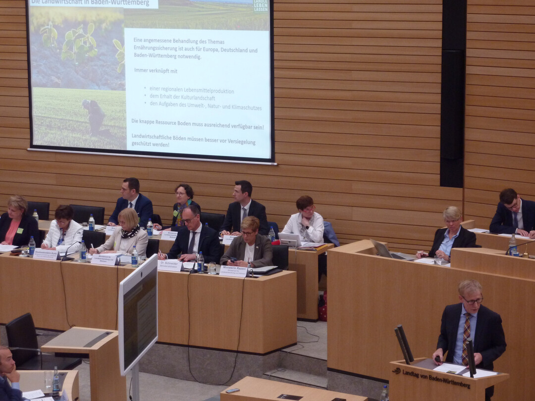 Anhrung im Landtag. 