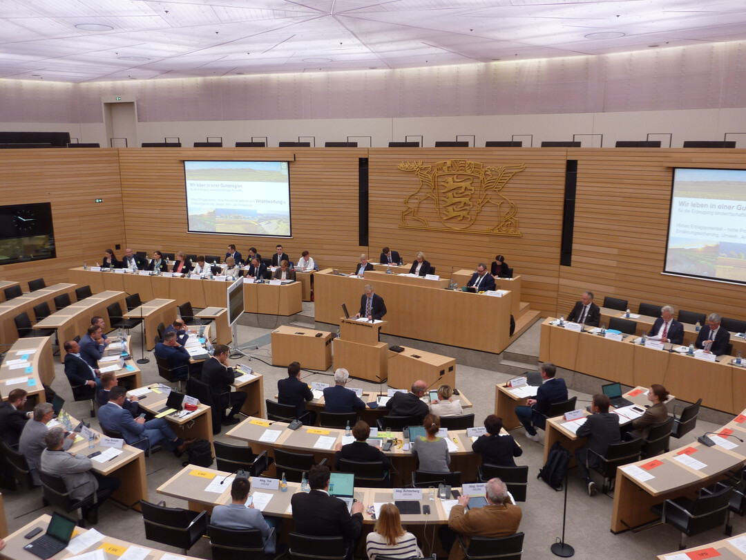 Anhrung im Landtag