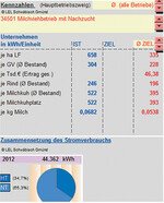 Die Betriebsdaten werden in speziellen Programmen ausgewertet.