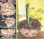 1/2 hohle Styroporkugel, Stecknadeln, frische Späne vom Christbaum, Moos, fruchttragende Rosenzweige, Amaryllis, Dekosterne