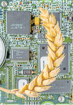 Die Digitalisierung in der Landwirtschaft wird weiter voranschreiten.