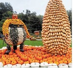 Die Kürbisausstellung im Blühenden Barock besteht zum großen Teil aus Kürbissen vom Obsthof Eisenmann.