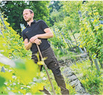 Auf den kleinstrukturierten Parzellen ist viel Handarbeit angesagt. Marcel Idler führt viele Arbeiten vorbeugend durch, um den Krankheitsdruck gering zu halten.