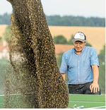 Raps ist weltweit knapp.