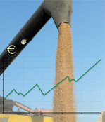 Steigende Preise gibt es an den Märkten für Getreide und Ölsaaten. Eine Trendwende ist derzeit nicht zu erwarten.