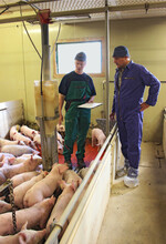 Berater entwickeln zusammen mit den Landwirten Lösungen für den Betrieb.