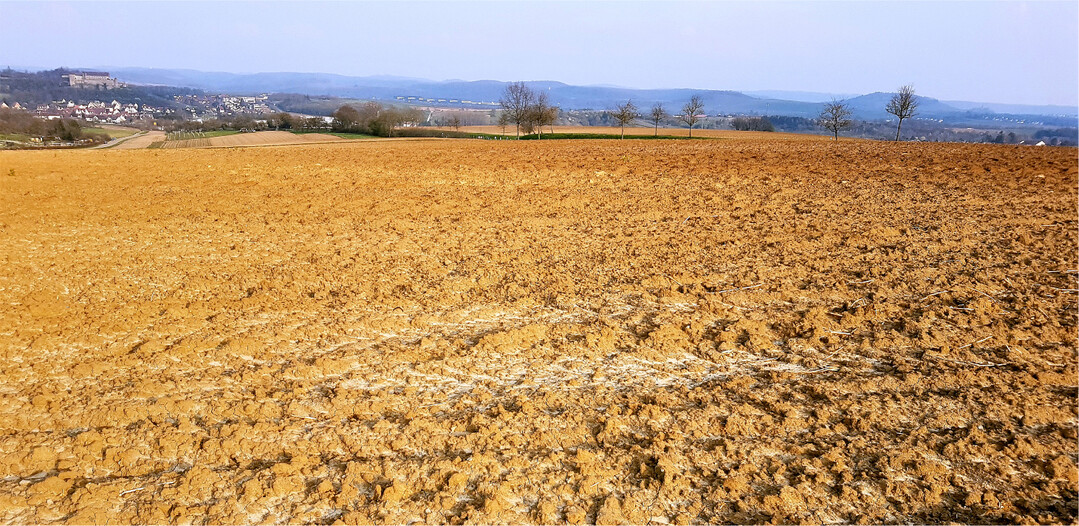 Die günstigen Eigenschaften der Parabraunerde sind ihr Nährstoffreichtum und eine hohe nutzbare Feldkapazität. Parabraunerden sind aber auch strukturschwach und dadurch sehr empfindlich, beispielsweise für Verdichtungen.