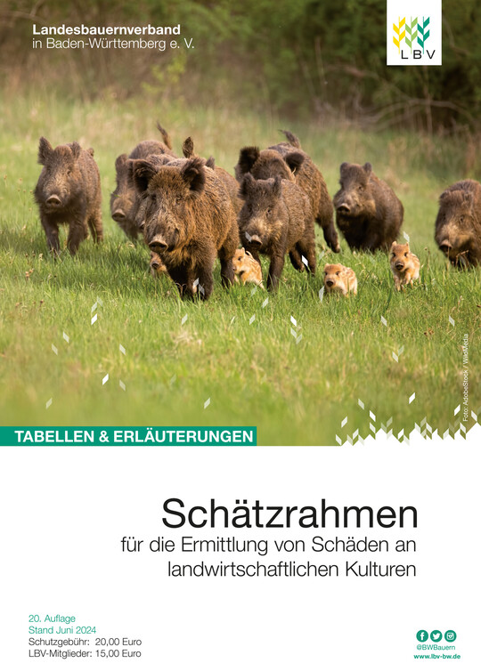 Cover des LBV-Schtzrahmen 2024