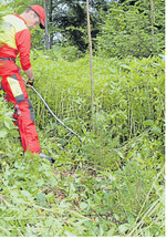 Für geförderte Pflanzflächen gibt es jetzt auch Zuschüsse für die Kultursicherung.