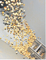 Bei der thermischen Sojaaufbereitung werden Inhaltsstoffe, die ungünstige Eigenschaften auf Stoffwechsel und Verdauung haben, zerstört oder ausgeschaltet.