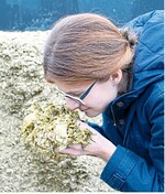 Eine sensorische Kontrolle hilft, eventuelle Silierfehler aufzudecken.