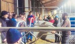 Matthias Zürn zeigte den zahlreichen Besuchern des Agrarabends der Landjugend seinen modernen Milchviehstall.