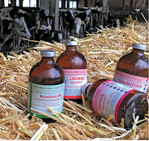 Beim Einsatz homöopathischer Mittel sind die Regeln des Arzneimittelgesetzes zu beachten.