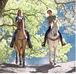 Ein Ausblick in die Zukunft zeigt: Immer mehr Pferdebegeisterte gehen lieber ausreiten und verbringen entspannt Zeit mit ihrem Pferd als sich mit dem Turniersport zu beschäftigen.