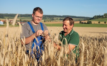 Eine Vernetzung, die in der Biomusterregion Heidenheim gefruchtet hat, ist das Thema Braugerste. Die Hrtsfelder Familienbrauerei Hald hat sich mit der Erzeugergemeinschaft Kornkreis zusammengetan und kann nun Biobraugerste aus der Region beziehen.