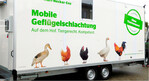 Der mobile Anhänger ist mit allen erforderlichen Geräten und Vorrichtungen für das Schlachten von Geflügel ausgestattet.