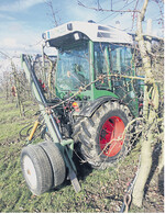 Wurzelschnitt ist keine Standardmaßnahme, sondern muss zur Anlage passen.