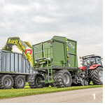 Der Büffel organisiert die Grünfutterernte neu.