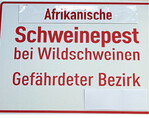 Soweit ist es in Baden-Württemberg noch nicht. Dennoch sollten Schweinehalter die Seuchengefahr ernst nehmen und die Biosicherheitsmaßnahmen unter die Lupe nehmen.