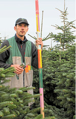 Philipp Bentele hat die Bäume in ihre Größenklasse mit Kunststoff-Etiketten aus verschiedenen Farben vorsortiert. Das vereinfacht den Verkauf. Der laufende Meter kostet bei ihm 19 Euro. Es gibt drei Qualitätsstufen A, B und C.