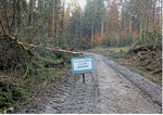 Ist der Weg nun abgesperrt oder nicht? Waldbesucher können hier nur raten.