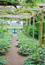 Öffnungen an der Gartengrenze und Ausblicke in die Landschaft sind wichtige Gestaltungsmittel, um einen Garten abwechslungsreich und größer wirken zu lassen.