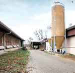 Auf dem Betriebsgelände sind Futterreste, Stroh oder Laub mit einem Besen schnell und effektiv beseitigt.