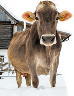 Mehr Tierwohl, Umwelt- und Klimaschutz: Das wünschen sich Verbraucher. Mehr Verständnis für ihre Arbeit wünschen sich Landwirte. Entsprechend gefragt ist ein neuer Umgang miteinander.