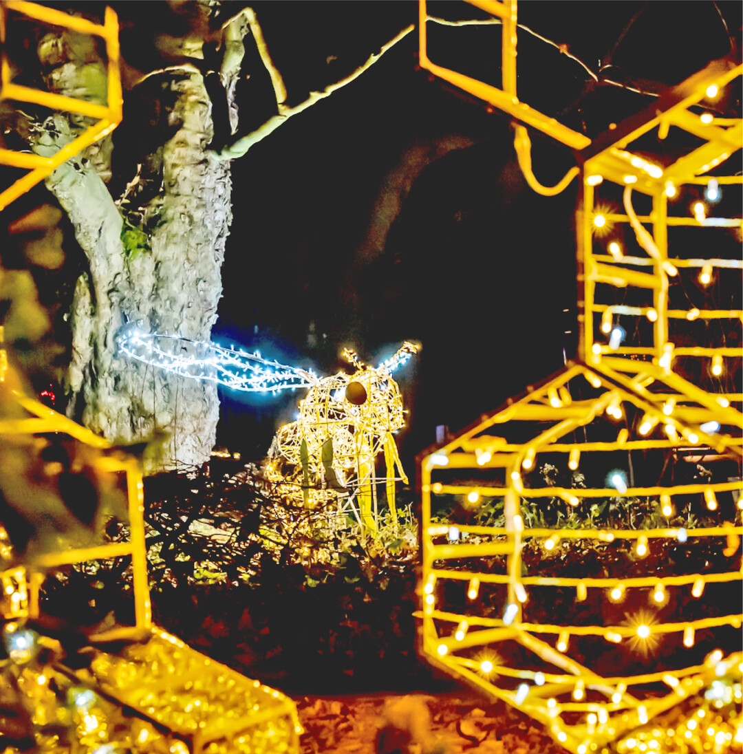 Sobald es dunkel wird, erstrahlt der Christmas Garden auf der Insel Mainau. Er entführt die Besucherinnen und Besucher auf einem circa zwei Kilometer langen Rundweg durch das Gelände der Schloss- und Parkanlagen dank zahlreicher glitzernder Illuminationen und musikalischer Untermalung in eine magische Weihnachtswelt. Millionen von Lichtpunkten tauchen die barocken Gebäude und den über 150 Jahre alten Baumbestand in ein (vor)weihnachtliches Glanzmeer. In der Stuttgarter Wilhelma ist ebenfalls eine leuchtende Weihnachtswelt aufgebaut.