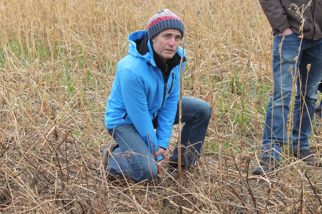 Eine Bodensonde ist für Rolf Kern vom Landwirtschaftsamt Bruchsal ein unverzichtbares Hilfsmittel für jeden Landwirt. Mit der Sonde können Bodenverdichtungen einfach erfühlt werden, ohne den Acker aufzugraben.