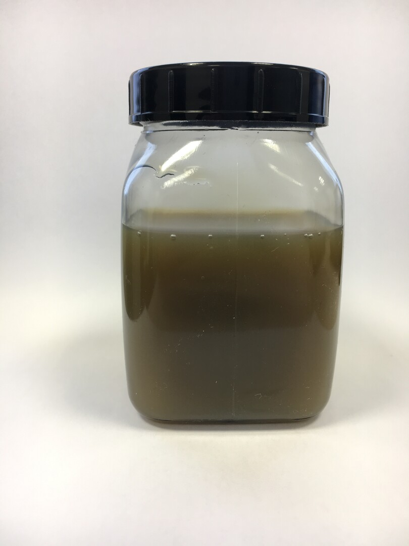 Kaltextrakt aus einer Meeresalge mit typischer gr�n-brauner F�rbung.