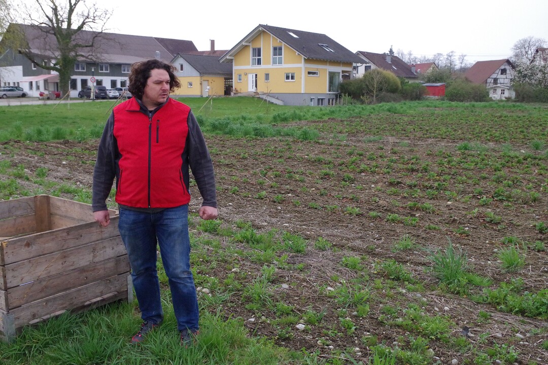 Landwirt Arnegger zeigt den Blhstreifen im Erdbeerfeld.