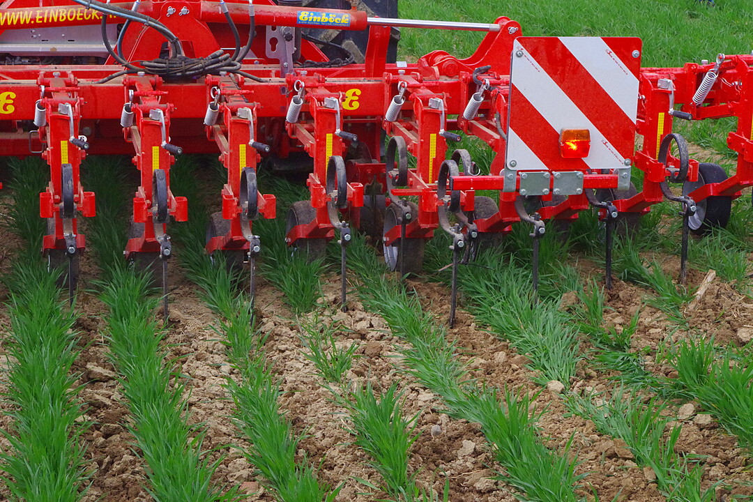 Hacke Einböck Chopstar: Die Hacke wurde in Heckausführung mit der automatischen Kameralenkung Row-Guard und einem Verschieberahmen (Verschiebeweg rund 50 Zentimeter) gezeigt. Das Gerät wird in Ausführungen für Reihenabstände von 25 bis 150 Zentimeter verkauft. Die Variante mit 37,5 Zentimeter Reihenabstand wird für bis zu 24 Reihen geliefert.