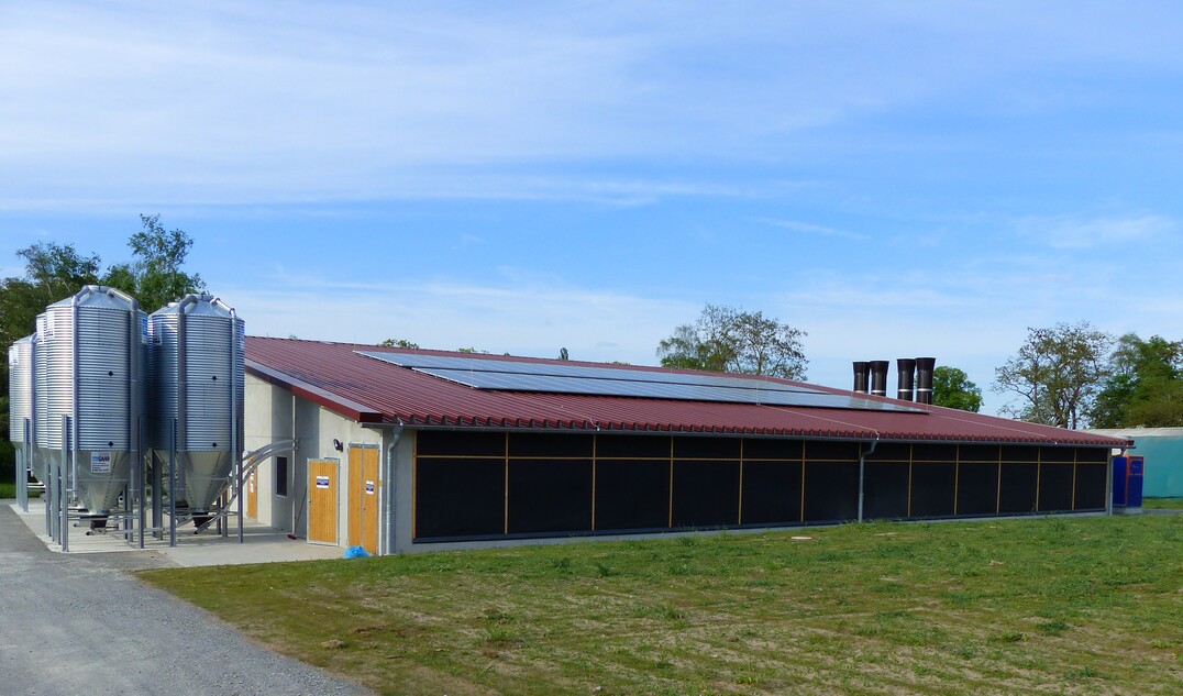 Kitzingen 2016: Niedrigenergiestall fr Junghennenaufzucht und Hhnchenmast mit konventionellen und kologischen Pltzen.