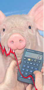 Die desolate Marktlage sorgt unter den Schweinehaltern im Südwesten für eine massive Verärgerung. Die Stimmung schwankt zwischen aggressiv und depressiv. Foto: Agrarfoto