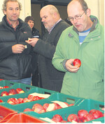 Ein Apfel, der am Markt bestehen will, muss schmecken. Verkostungen geben Aufschluss.