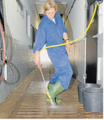 Eine sorgfältige Reinigung und Desinfektion ist die Grundlage guter Tierhygiene.