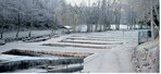 Im schönen Eyachtal im Nordschwarzwald liegt die Fischzucht Zordel ganz idyllisch zwischen Wald und Wiesen.