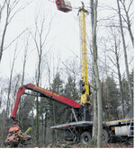 Mit der Winde, die am abgespannten Seil befestigt ist, werden die Stämme aus dem Hang geholt.