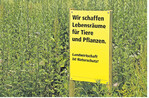 Deutsche Ackerbaubetriebe wirtschaften nachhaltig, so das Ergebnis einer Studie. Potenziale zur Verbesserung sehen die Autoren der Studie aber beispielsweise noch im Teilbereich Biodiversität.