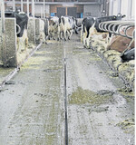 Egal, ob Gussasphalt oder Betonboden: Die Oberfläche muss regelmäßig gereinigt werden.