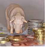 Auch die Kosten fließen in der Diskussion um das beste Alternativverfahren ein.