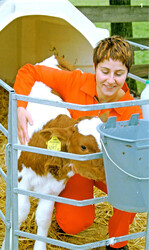 Um gesund aufzuwachsen und genügend Abwehrkräfte zu entwickeln, benötigen Kälber ausreichend Biest- und später Tränkemilch.