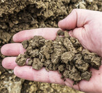 Polyedergefüge ist auf Böden mit hohen Tongehalten anzutreffen.