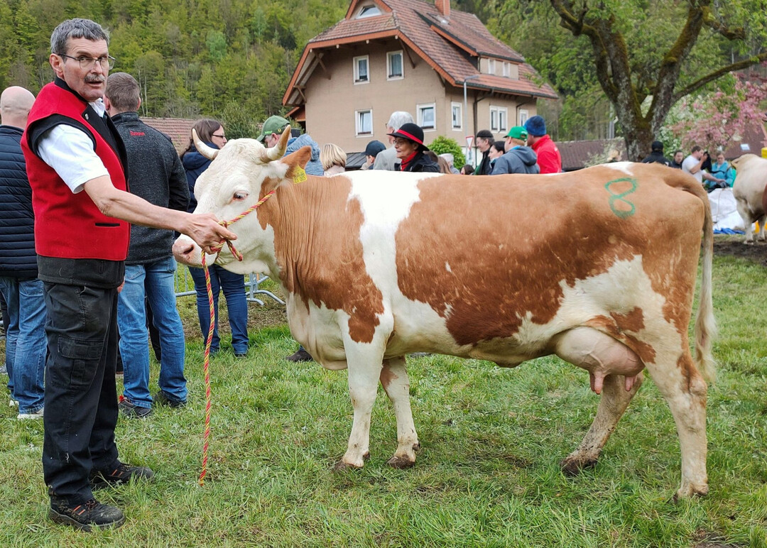 Aus sieben Khen erlangte die Himnaxtochter Sabrina von der Schelshorn GbR in Bernau-Hof mit drei Abkalbungen den Sieg.